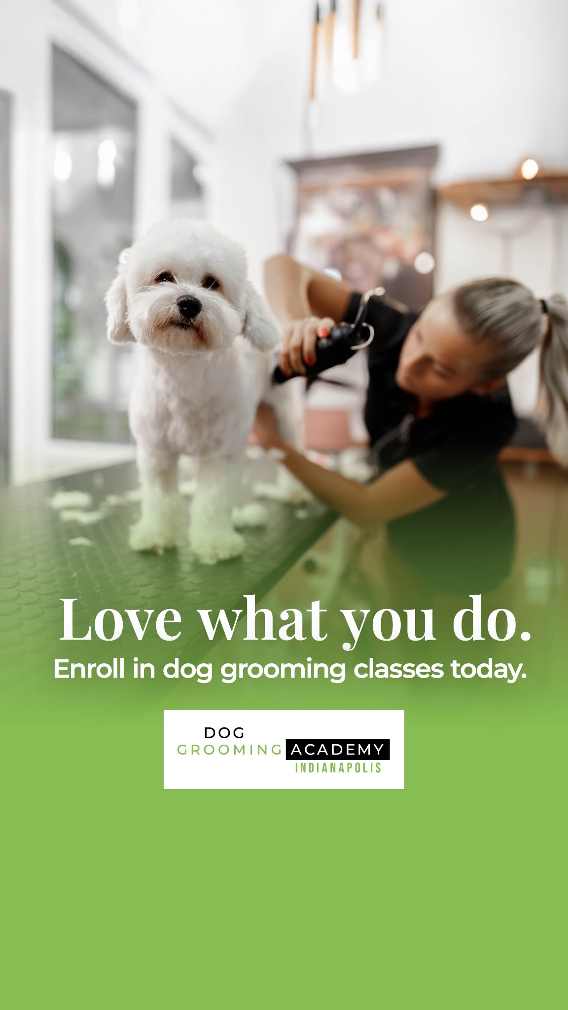 Dog Grooming Academy of Indianapolis Facebook ad from Mar 18, 2026