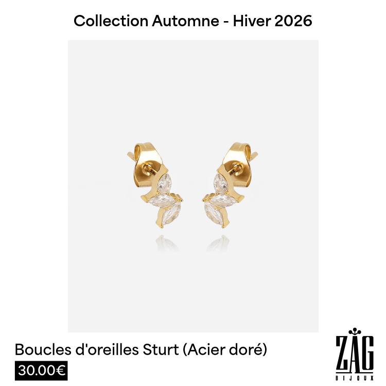 ZAG Bijoux Paris Facebook ad: La nouvelle collection Automne-Hiver est là