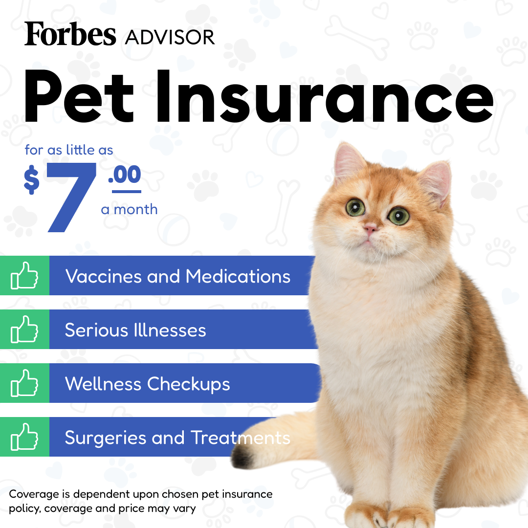 Forbes Advisor Facebook ad