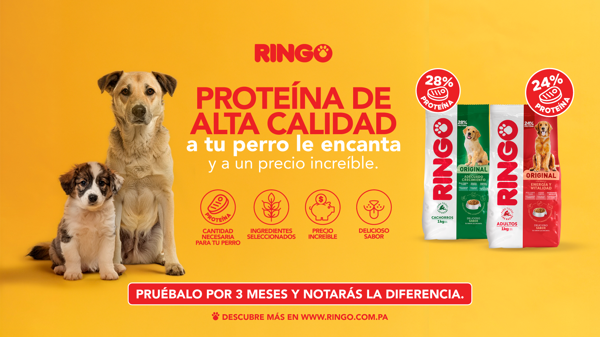 EfectoRingo Facebook ad