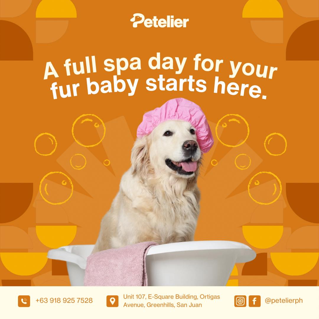 Petelier Veterinary & Grooming Facebook ad: 𝑨 𝒇𝒖𝒍𝒍 𝒔𝒑𝒂 𝒅𝒂𝒚 𝒇𝒐𝒓 𝒚𝒐𝒖𝒓 𝒇𝒖𝒓 𝒃𝒂𝒃𝒚…