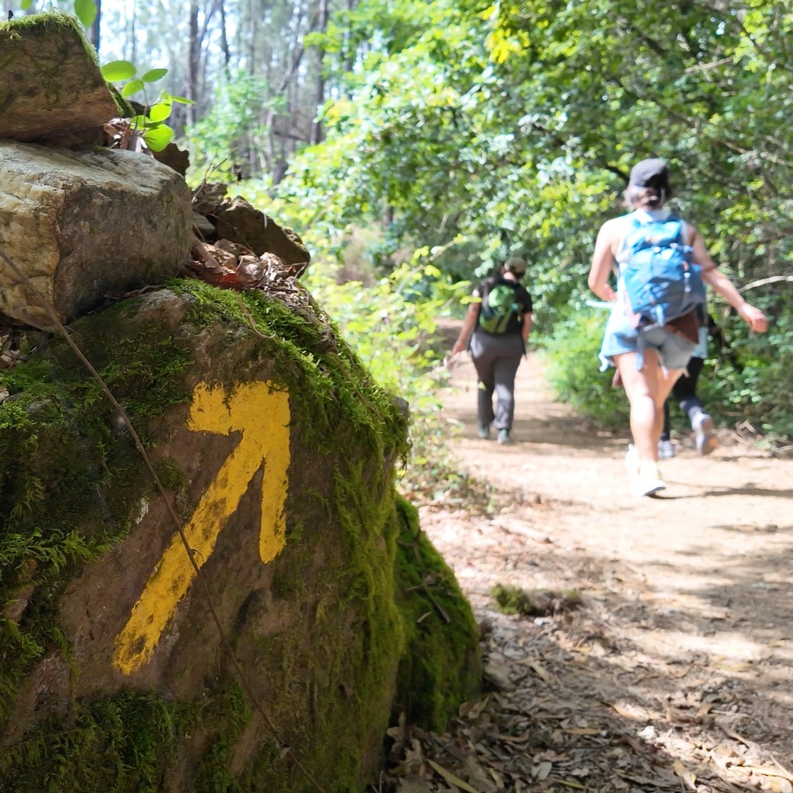 Live Love Hike - Walking Tours Portugal Facebook ad