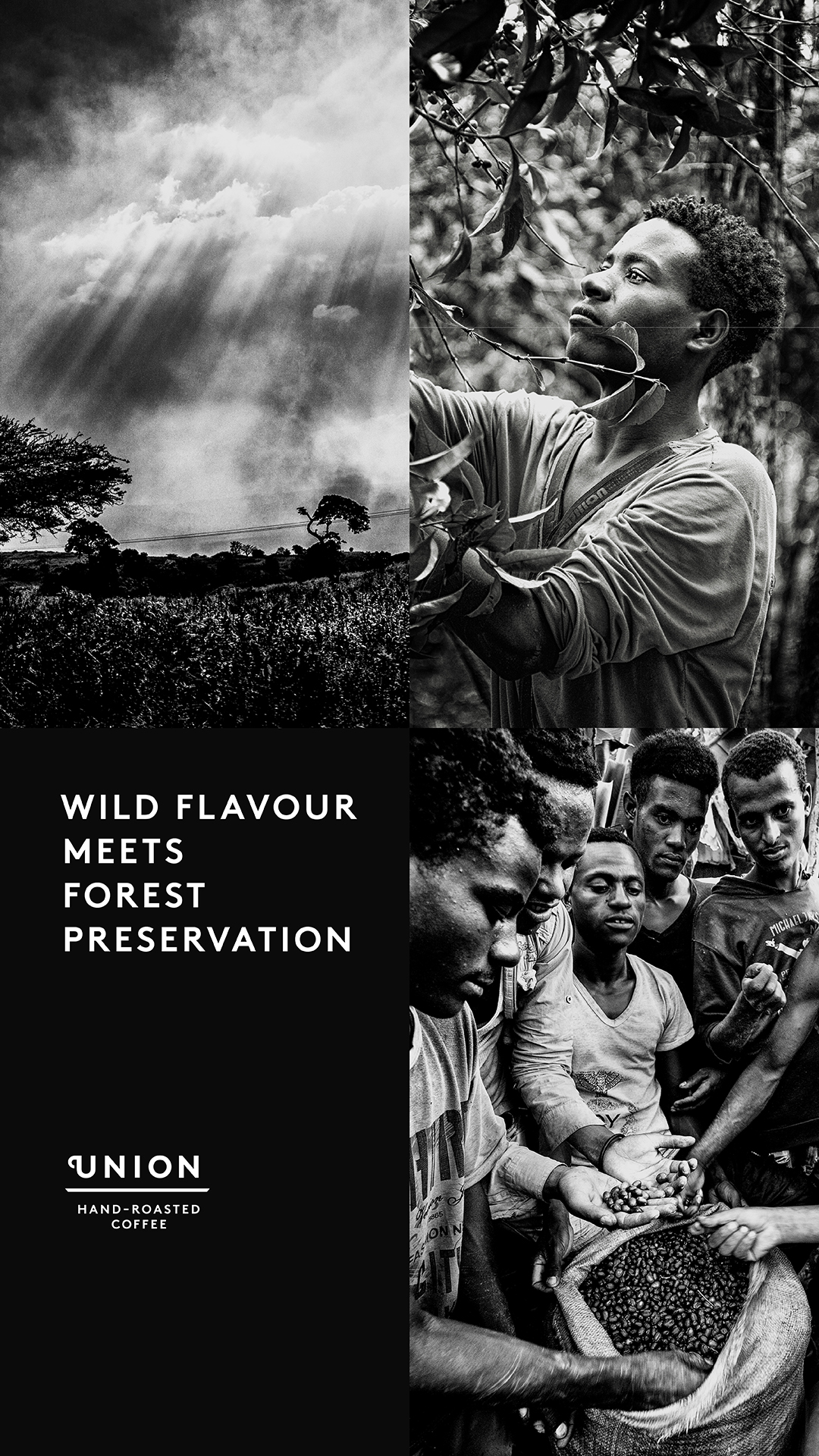 Union Hand-Roasted Coffee Facebook ad