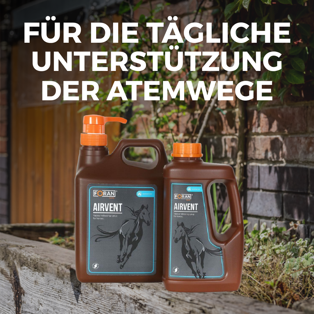Foran Equine Facebook ad