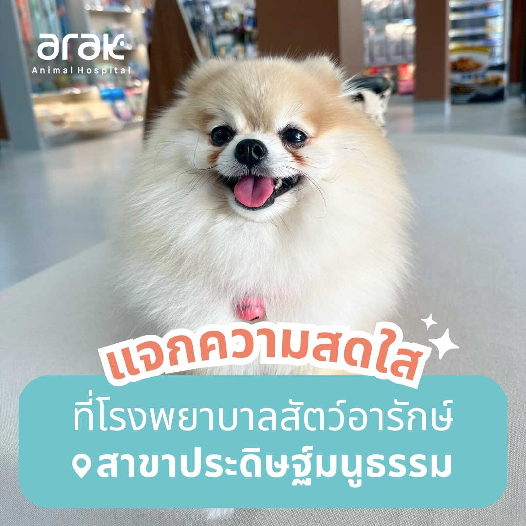 Arak Animal Hospital โรงพยาบาลสัตว์อารักษ์ Facebook ad