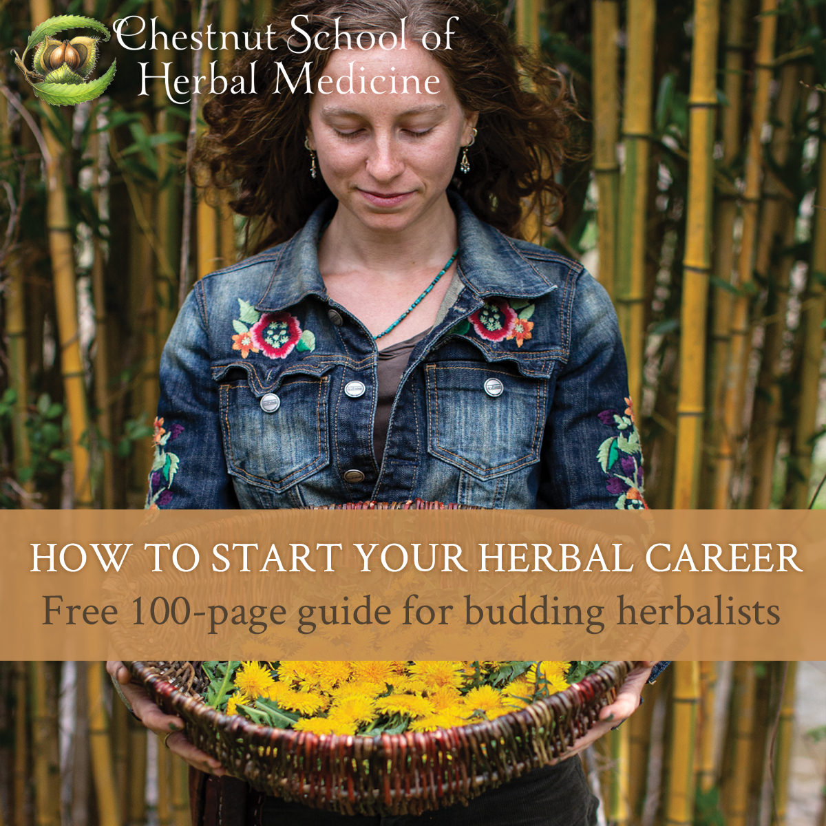 Chestnut School of Herbal Medicine Facebook ad: FREE Guide to Jumpstart Your Herbalist Career