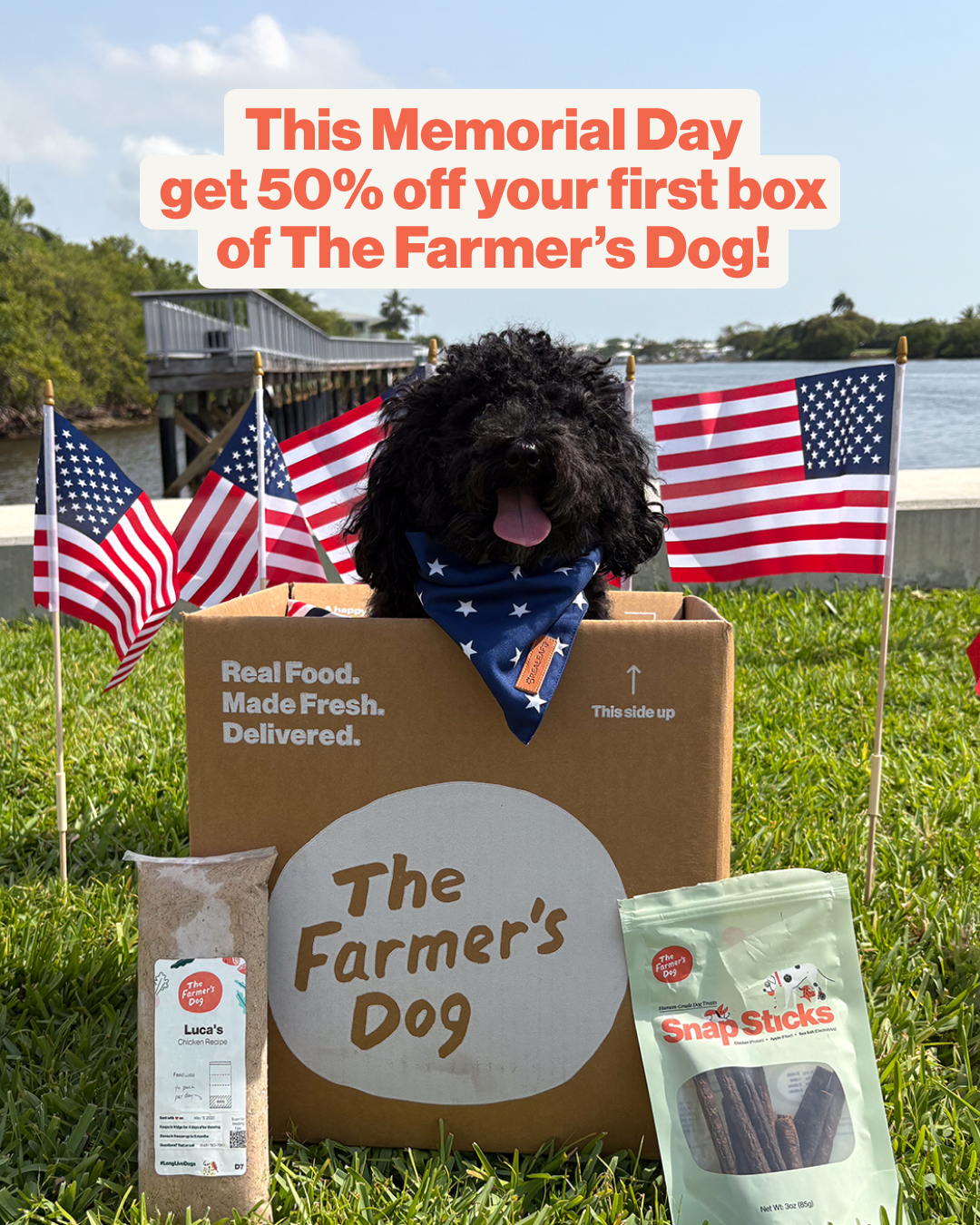 The Farmer's Dog Facebook ad