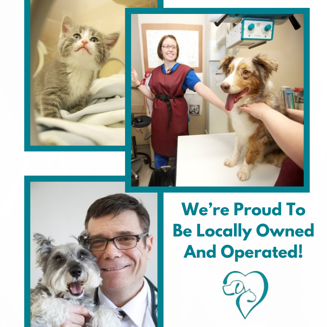 Anderson Animal Hospital and Wellness Center Facebook ad: Providing Personalized Care For All Pets.