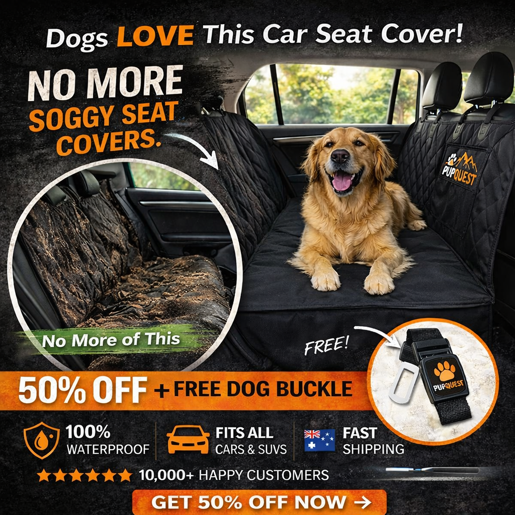 PupQuest Facebook ad: 50% OFF + Free Dog Buckle Ends Tonight