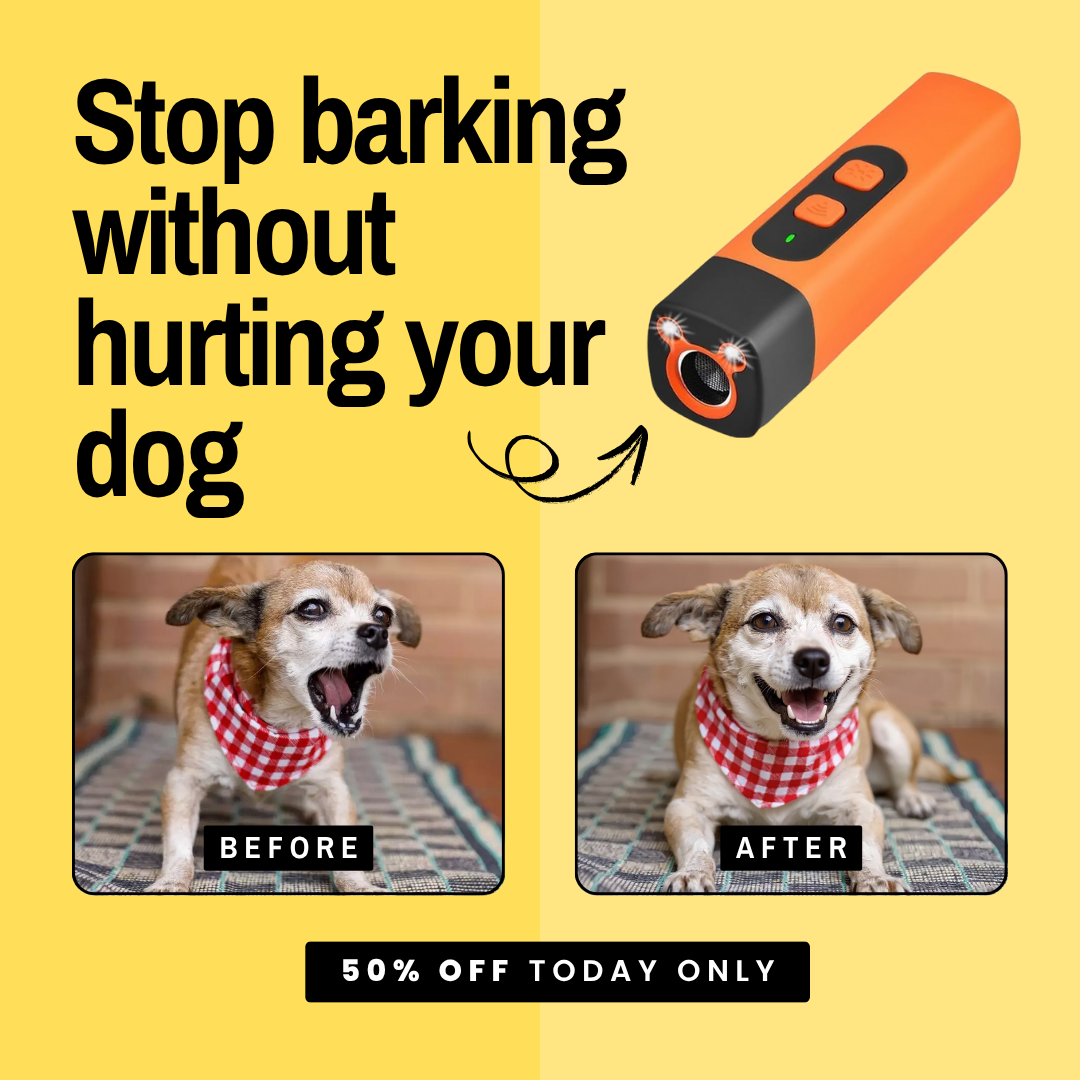 Hunters Doggy Daycare Facebook ad