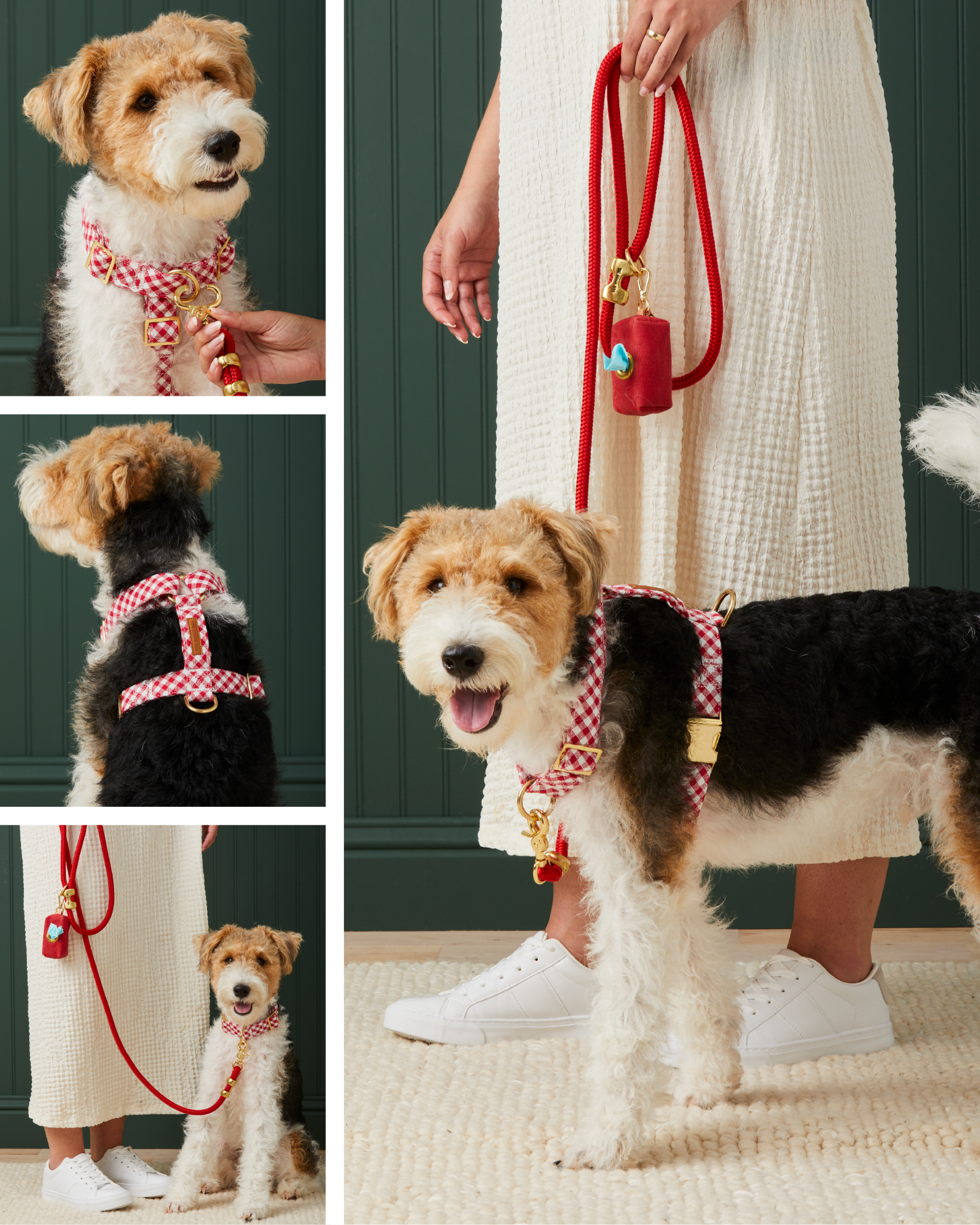 The Foggy Dog Facebook ad