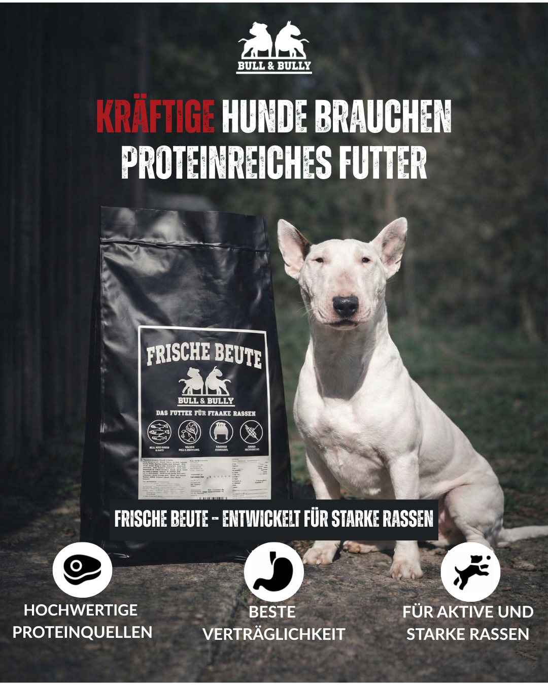 BULL & BULLY Facebook ad: DER TREIBSTOFF FÜR DEINE MASCHINE!
