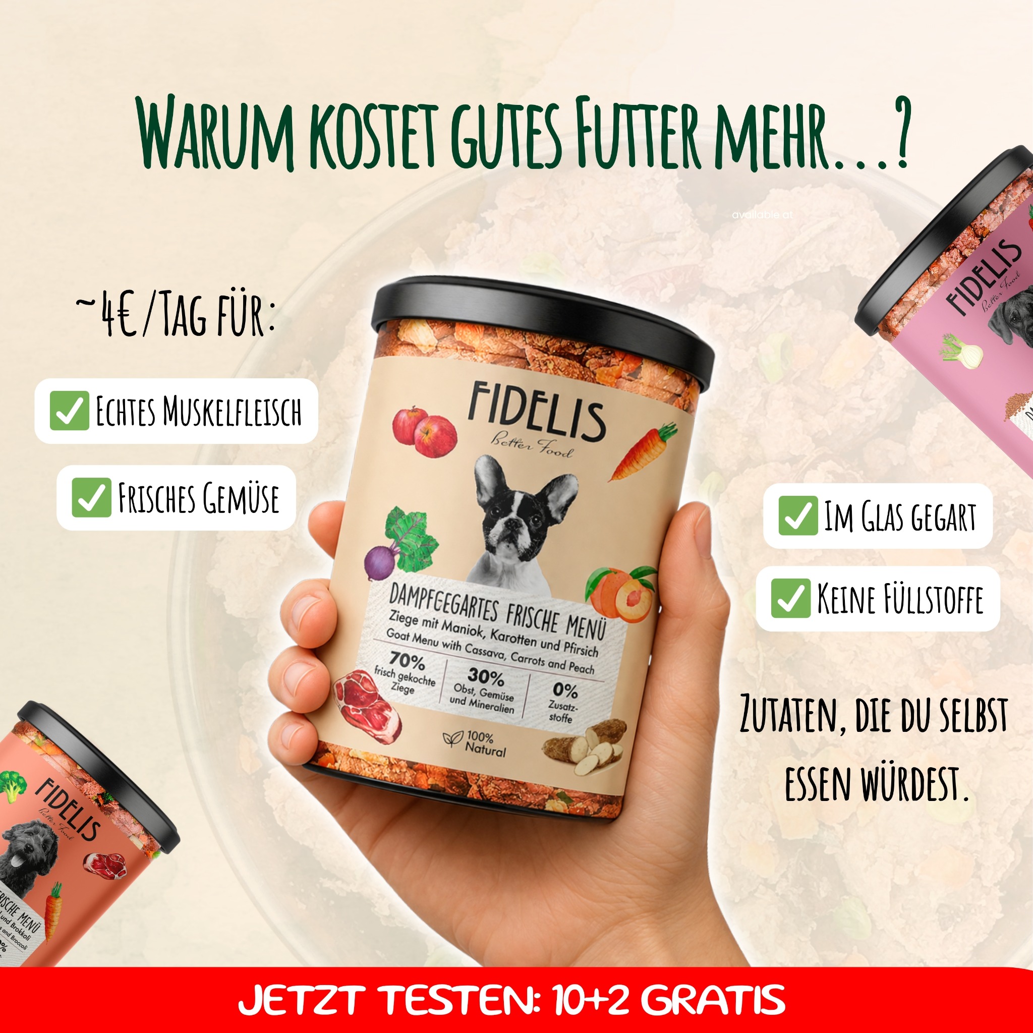 Fidelis.dog Facebook ad
