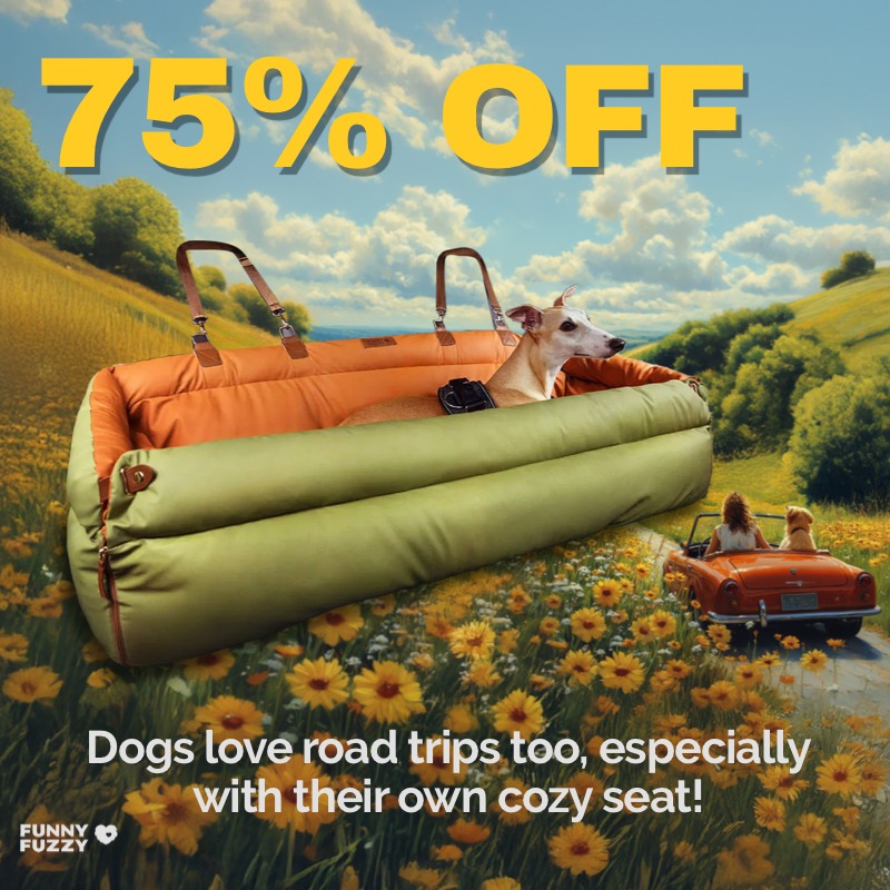 FUNNYFUZZY Facebook ad