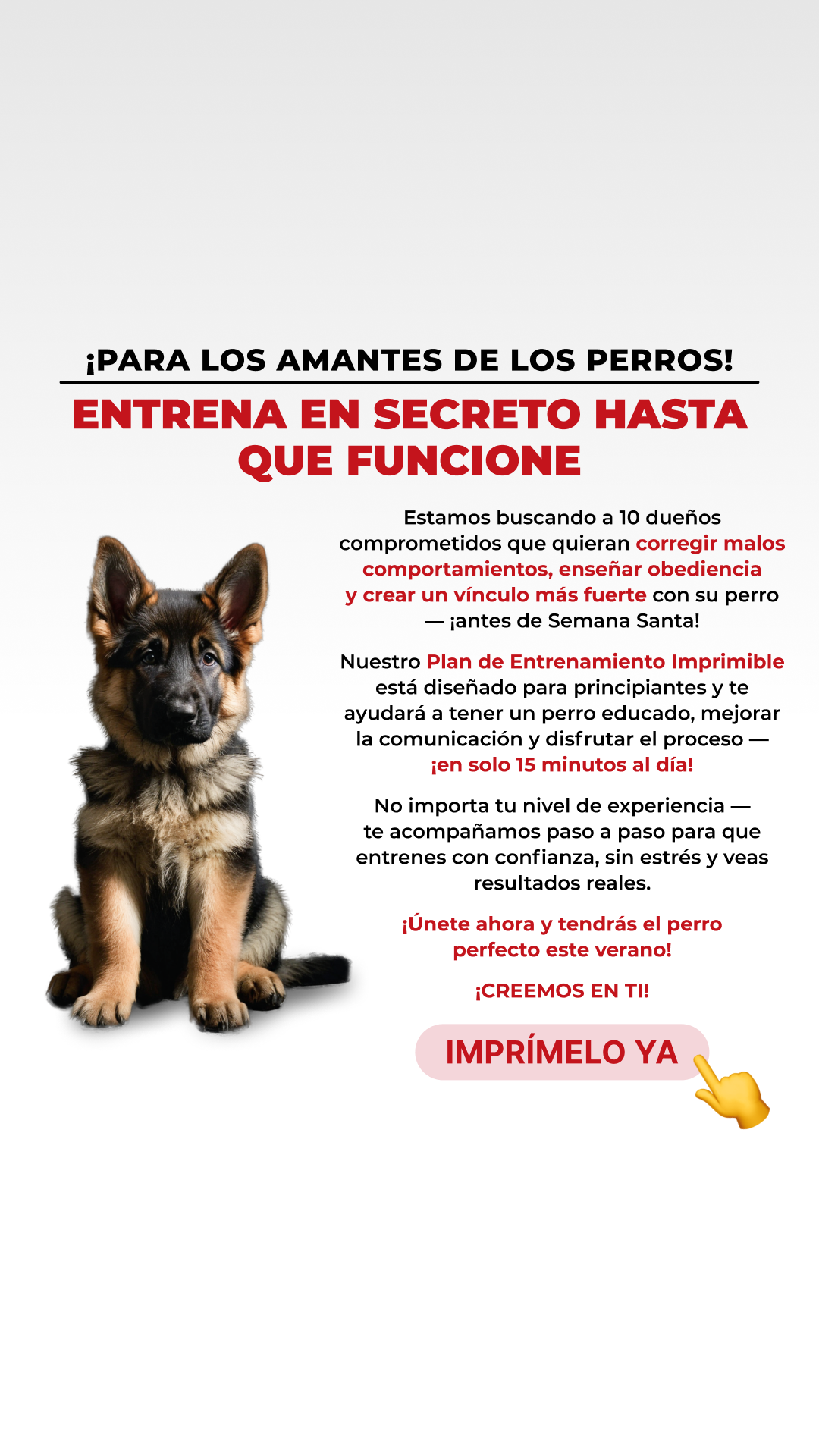 Woofz - Puppy Training Facebook ad