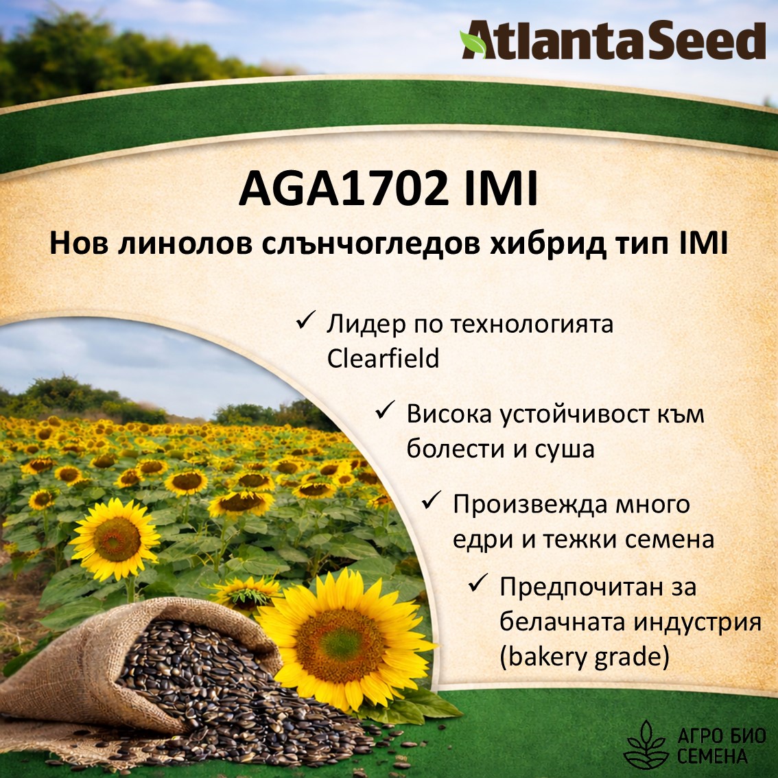 AtlantaSeed Facebook ad: AGA1702 - Нов линолов слънчогледов хибрид тип IMI.