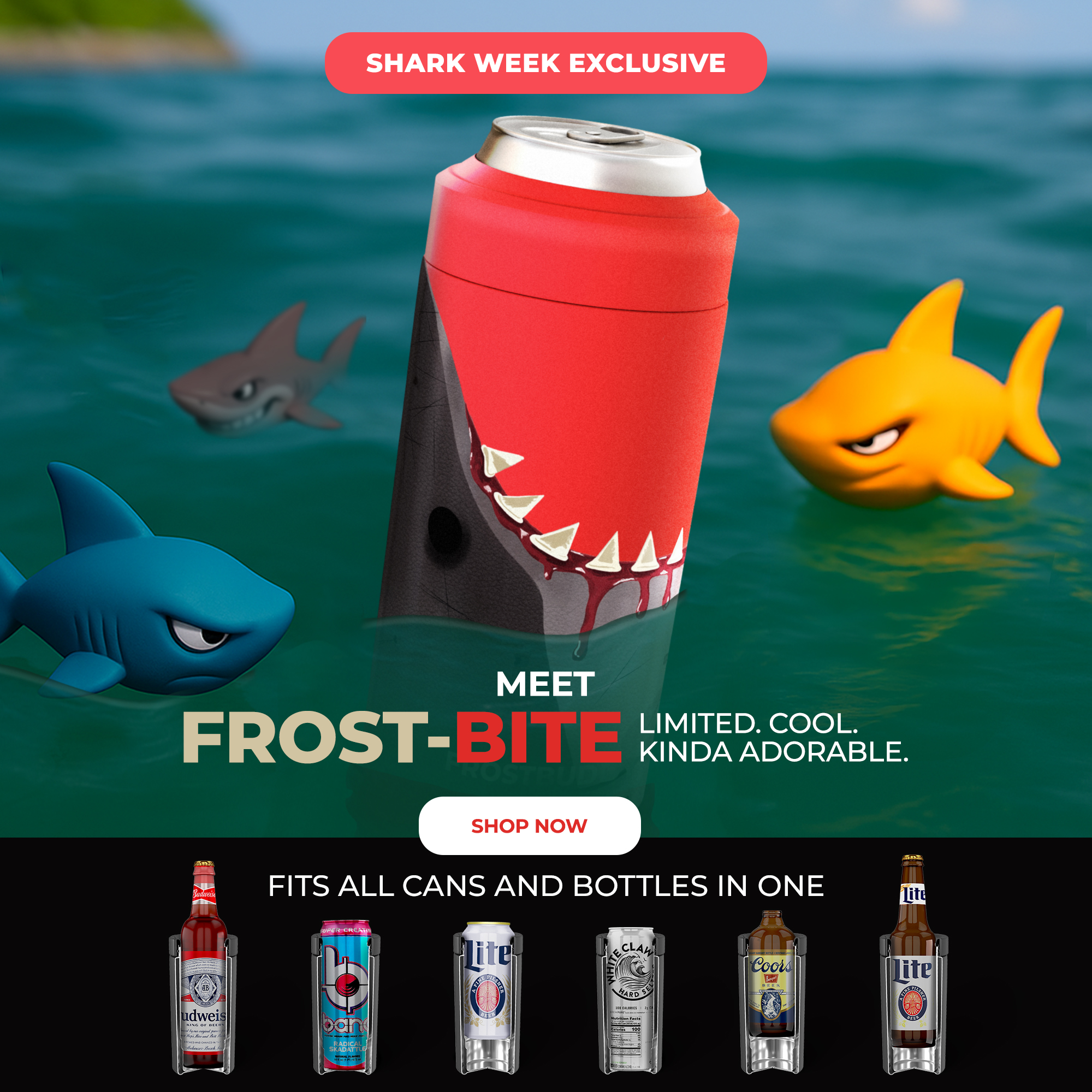 Frost Buddy Facebook ad