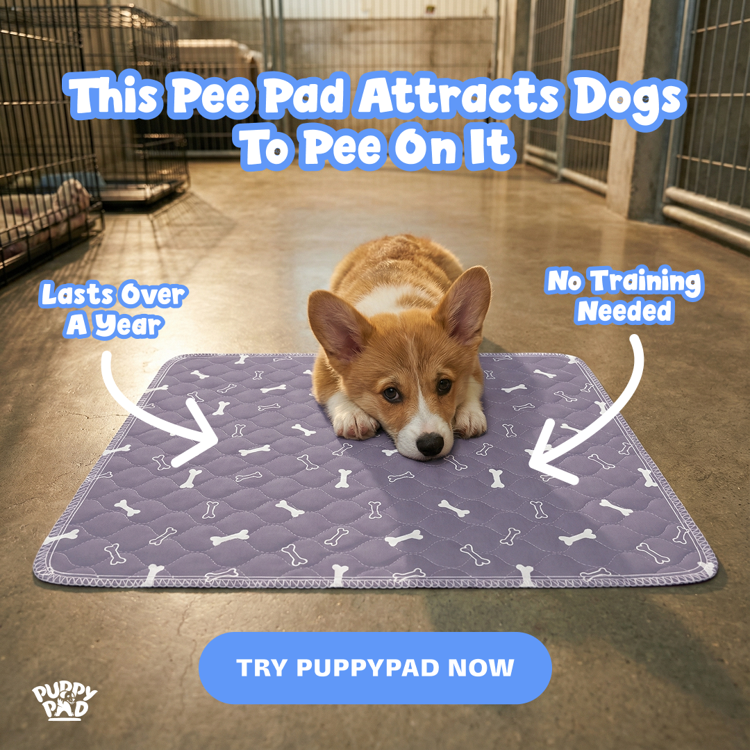 PuppyPad Facebook ad