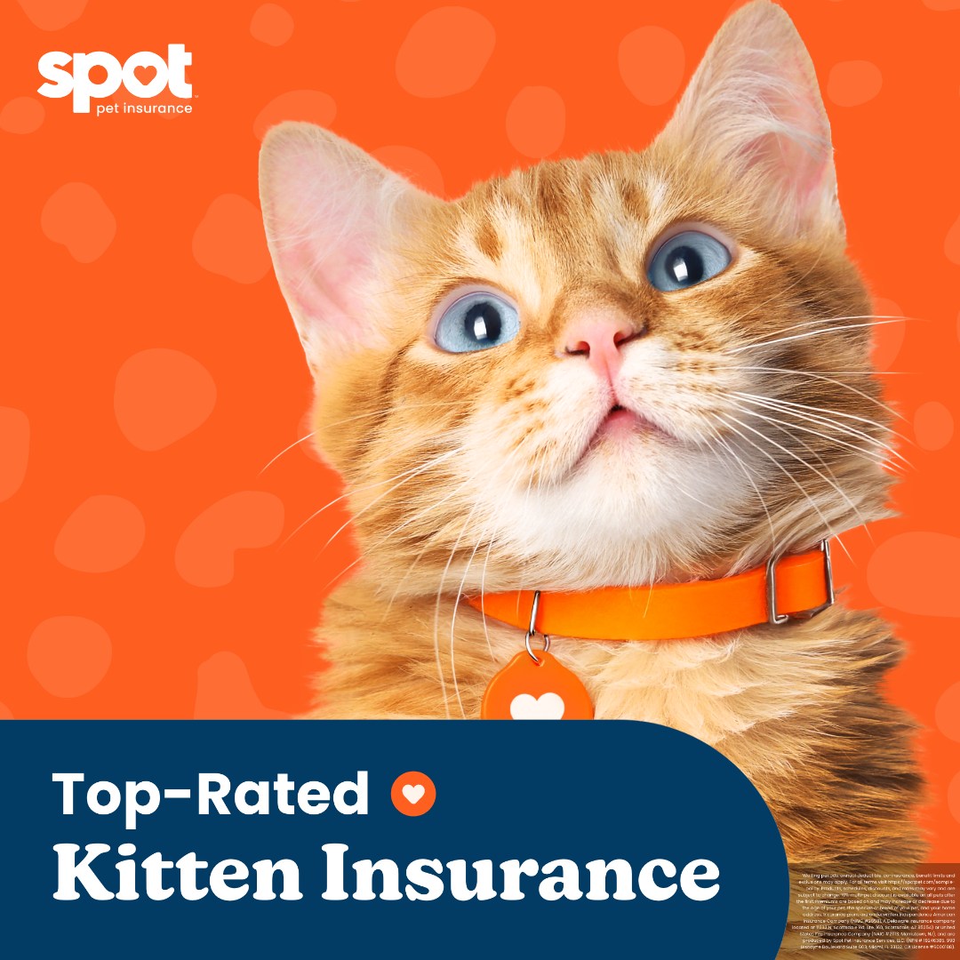 Spot Pet Insurance Facebook ad
