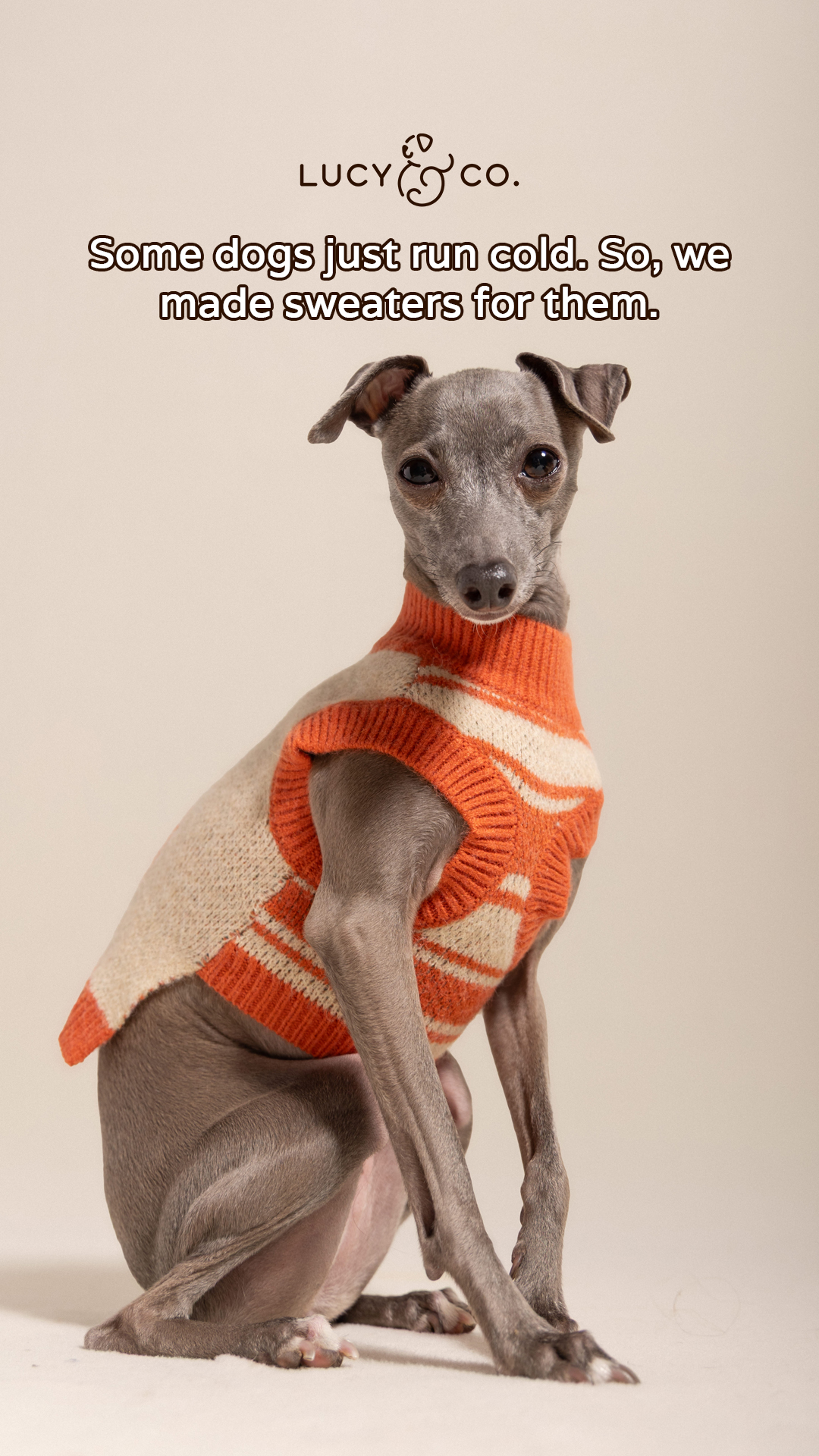 Lucy & Co. Facebook ad