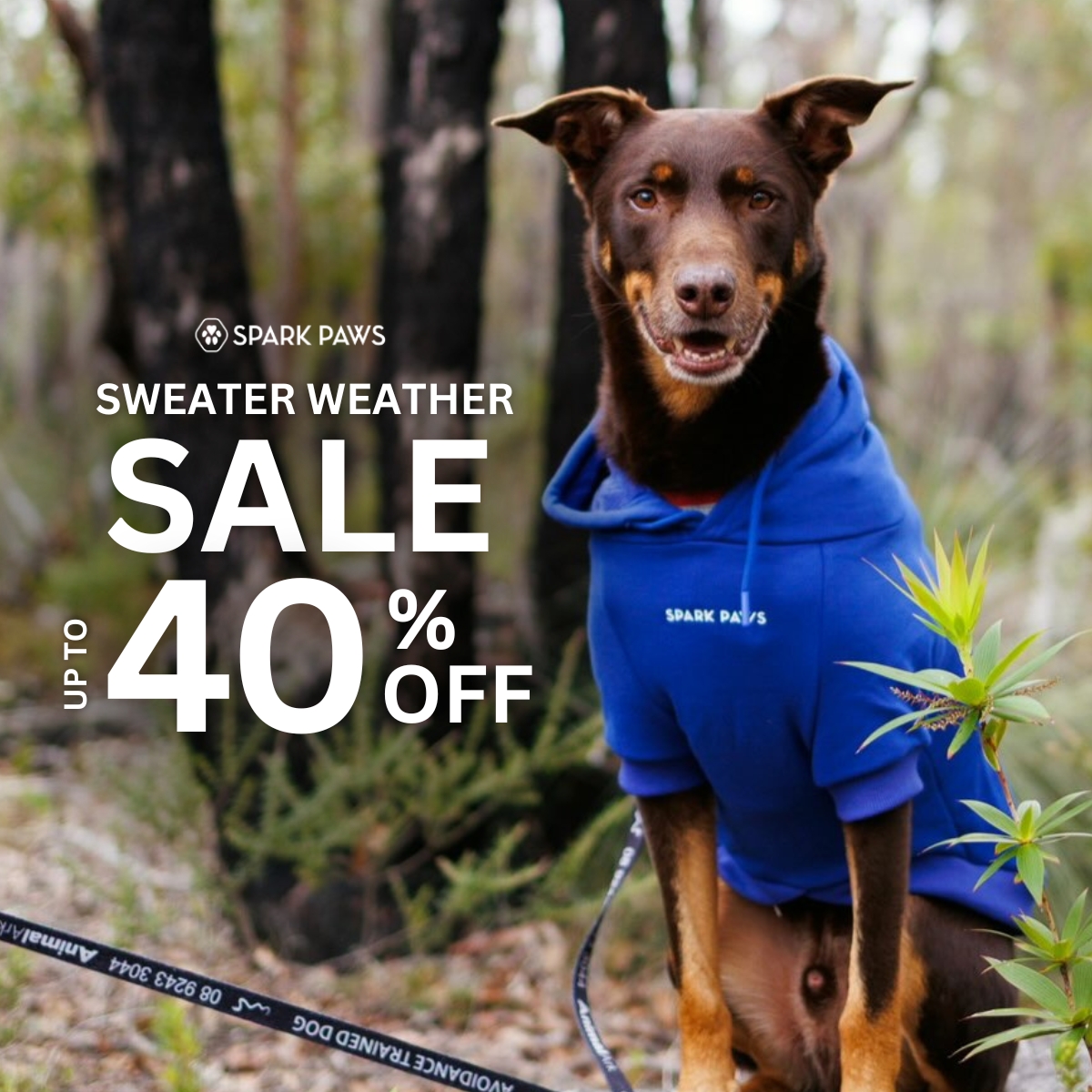 Spark Paws Facebook ad