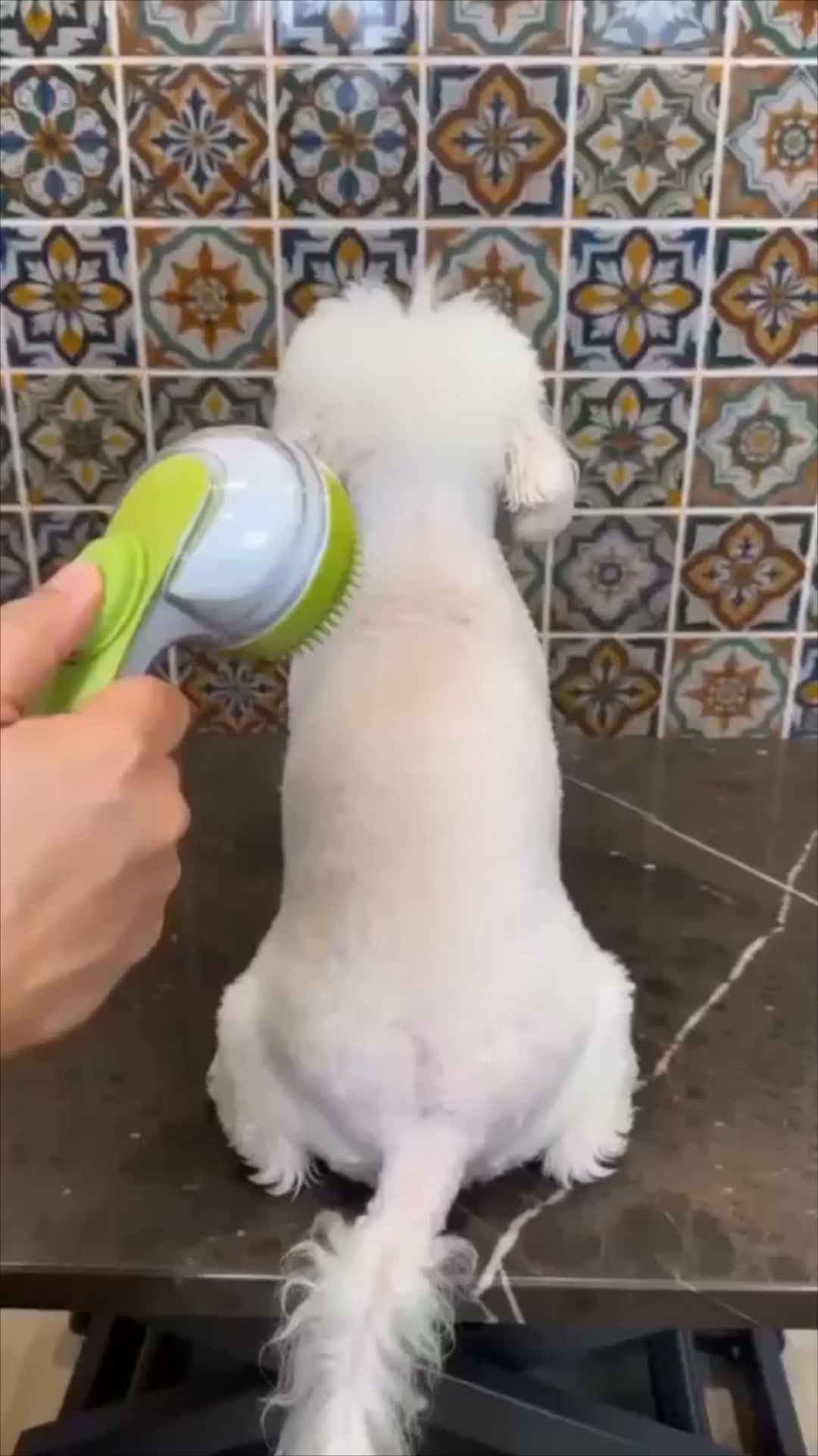 Australian Paws Facebook ad: #1 Gentle Fur Cleaning