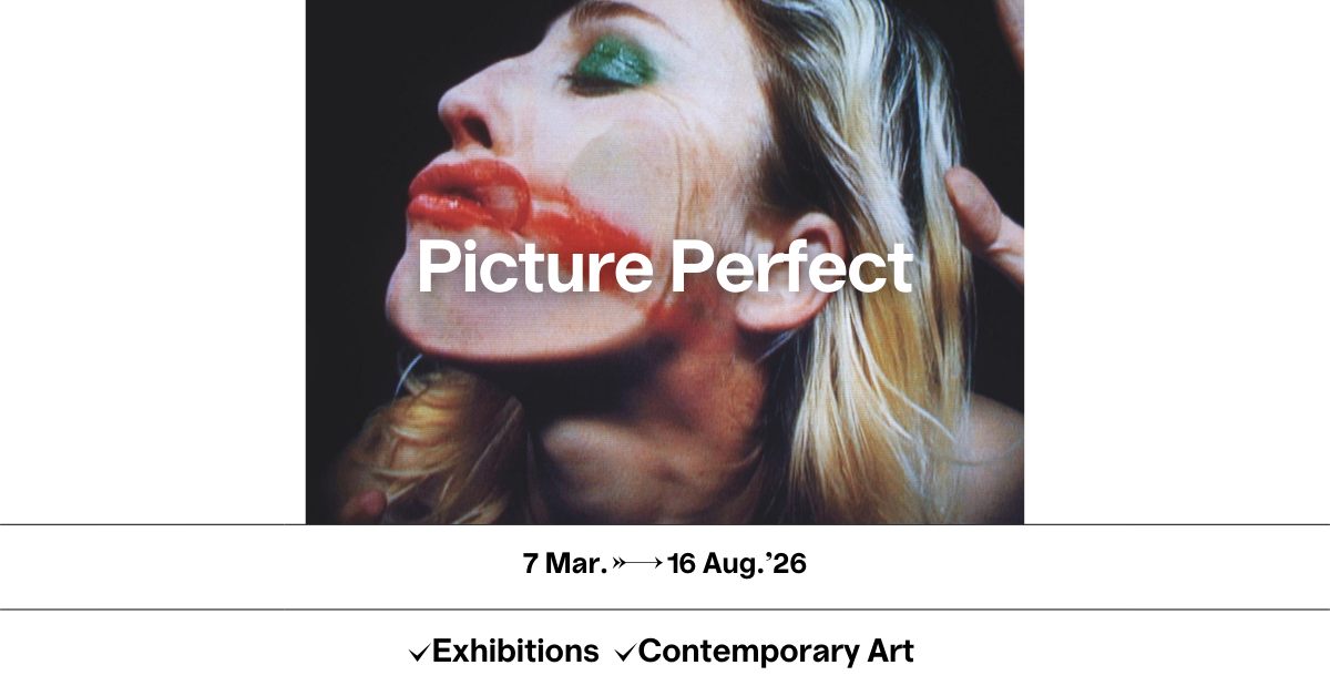 Bozar Facebook ad: Picture Perfect