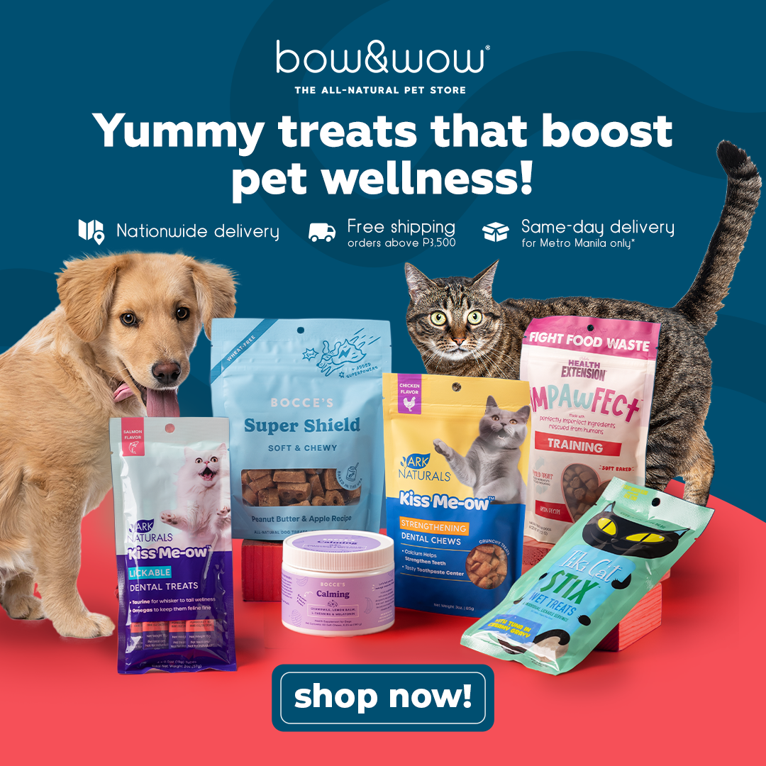 Bow & Wow – The All-Natural Pet Store Facebook ad