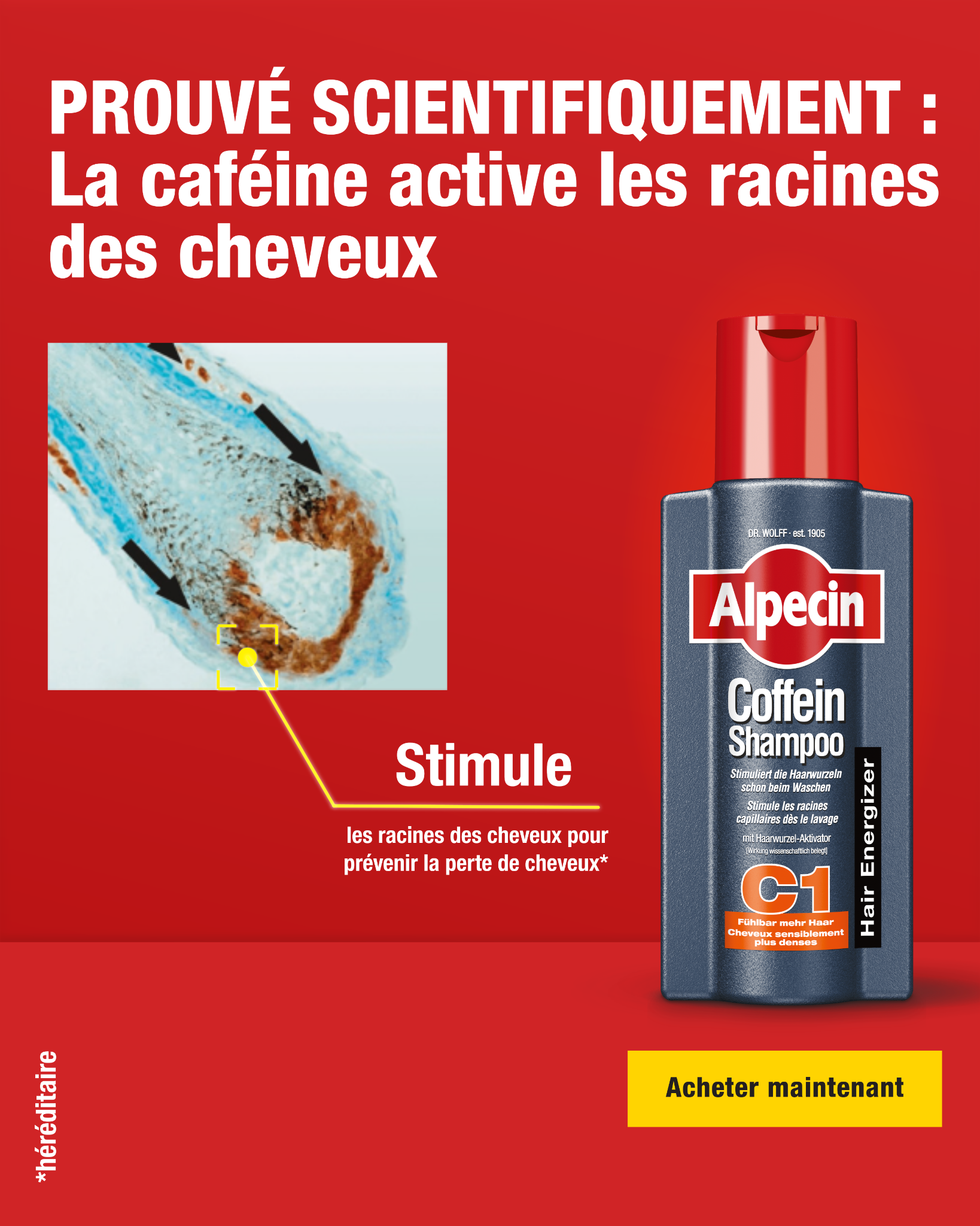 Alpecin Facebook ad from Jun 3, 2026