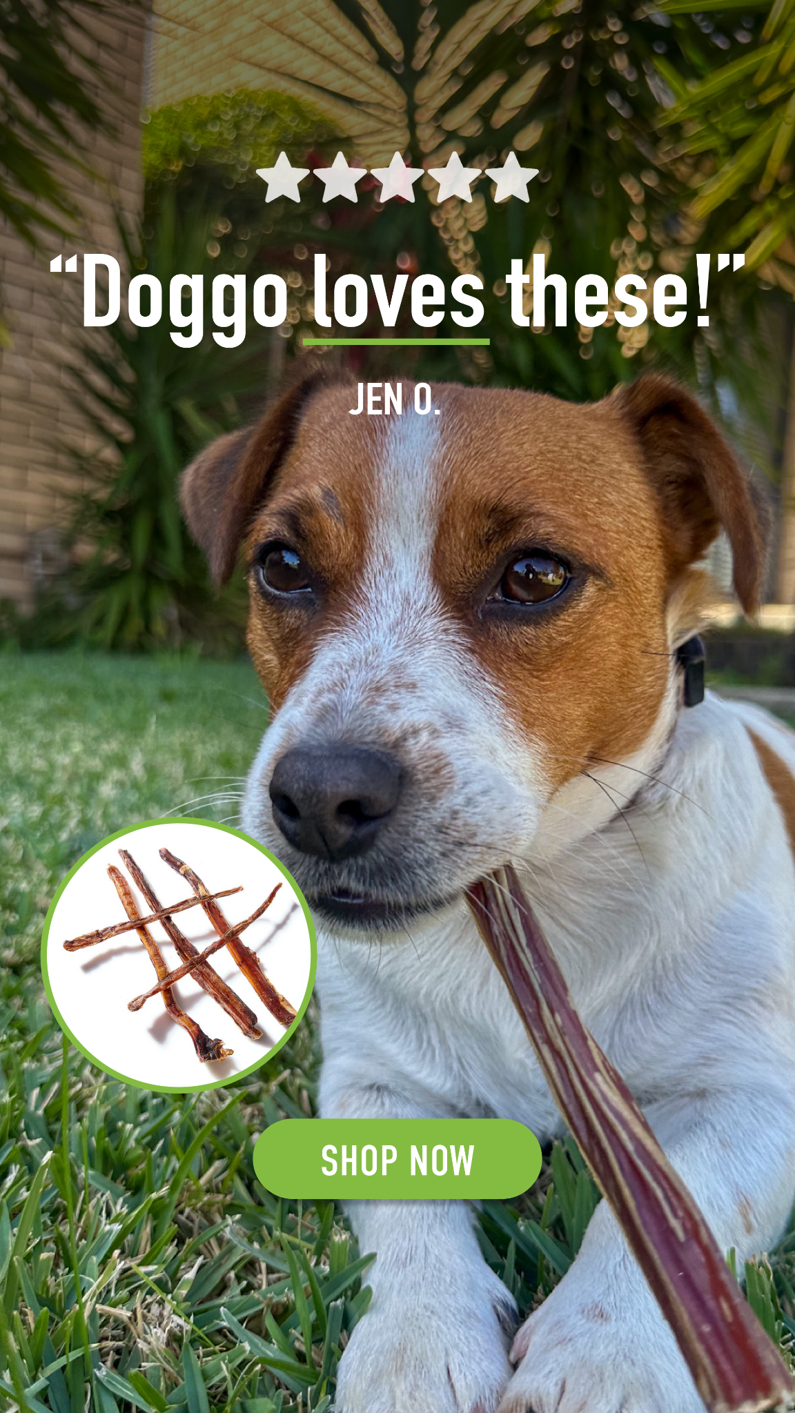CLEAR Dog Treats Facebook ad