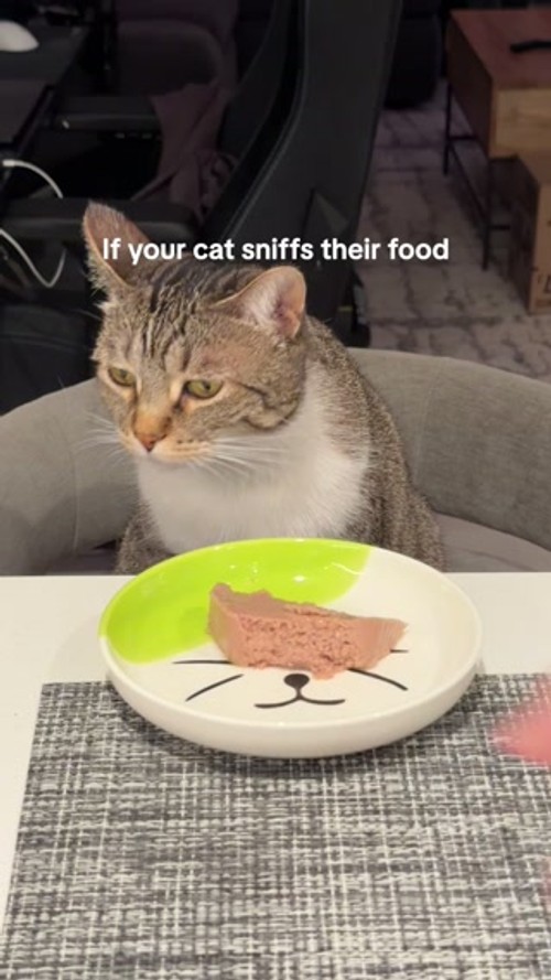 Smalls Facebook ad: Human-Grade Fresh Cat Food