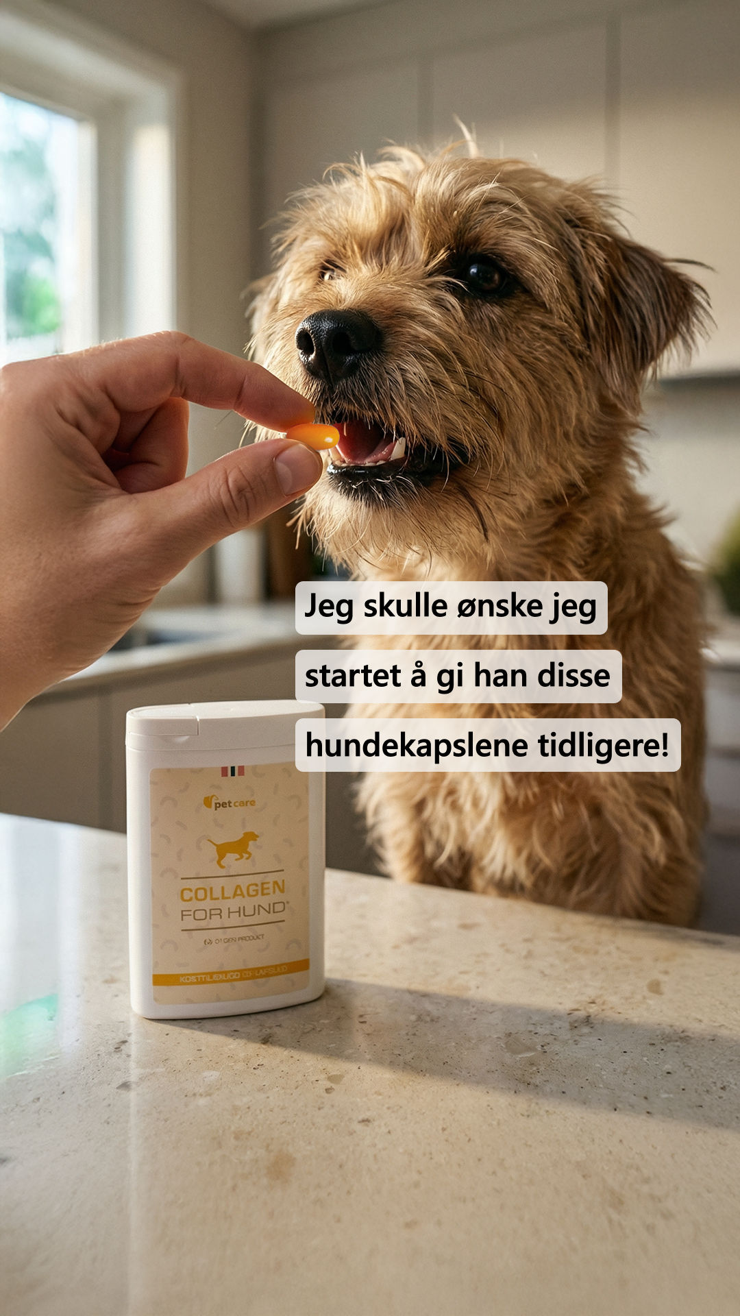 Collagen for hund Facebook ad: Prøv Collagen For Hund gratis!