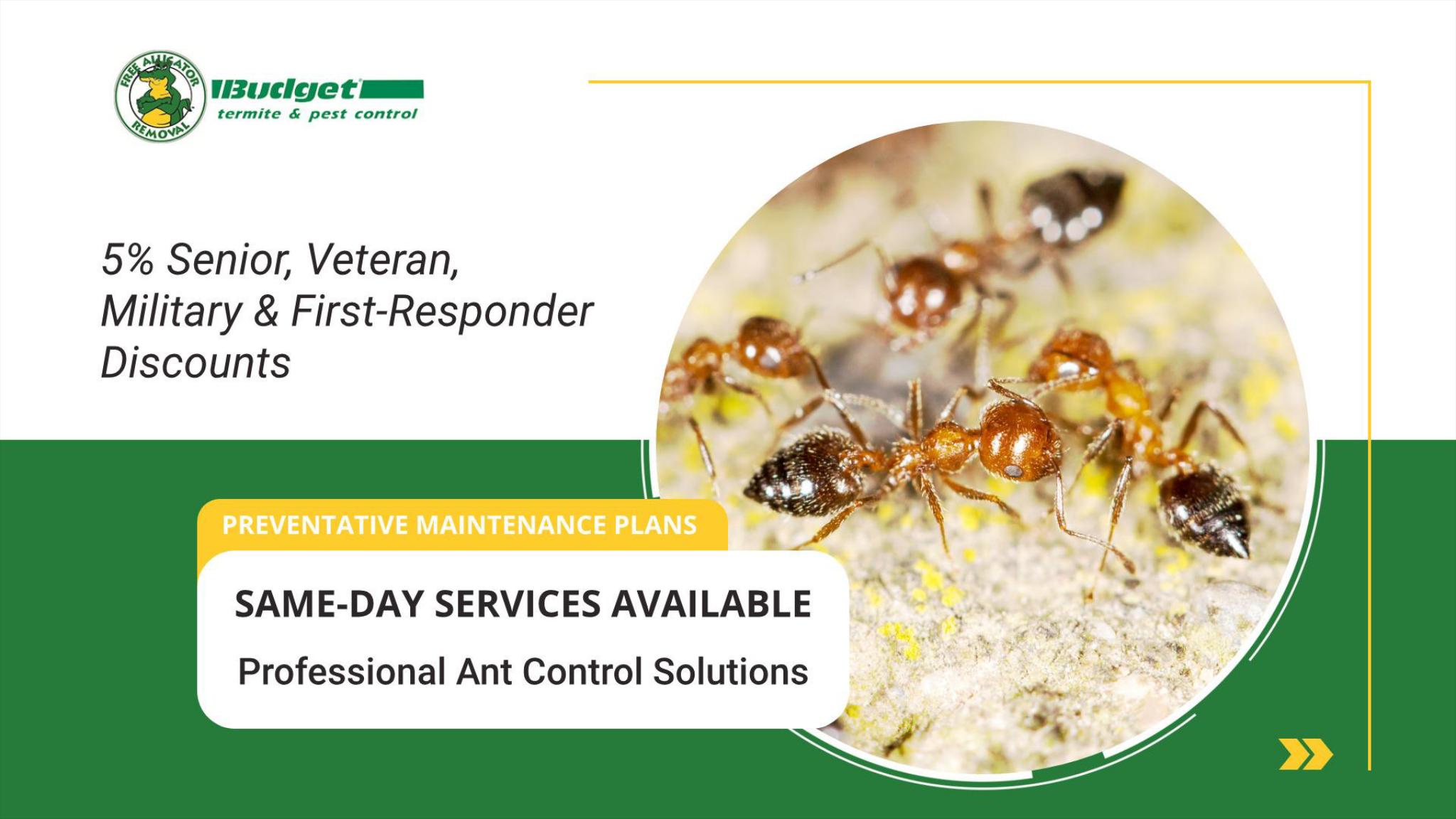 Budget Termite & Pest Control Facebook ad: Call To Learn More