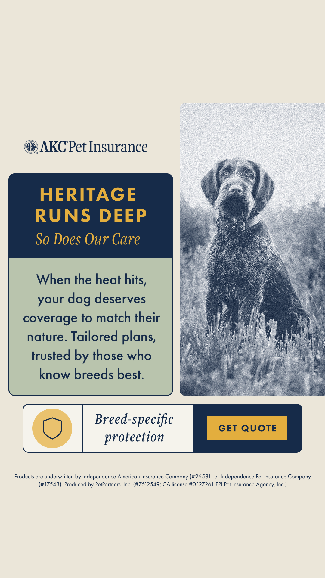 AKC Pet Insurance Facebook ad from Jul 29, 2025