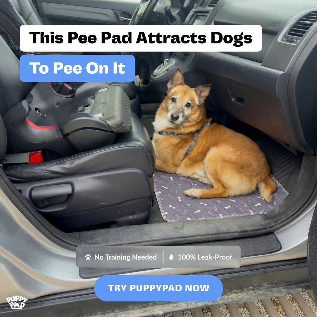 PuppyPad Facebook ad