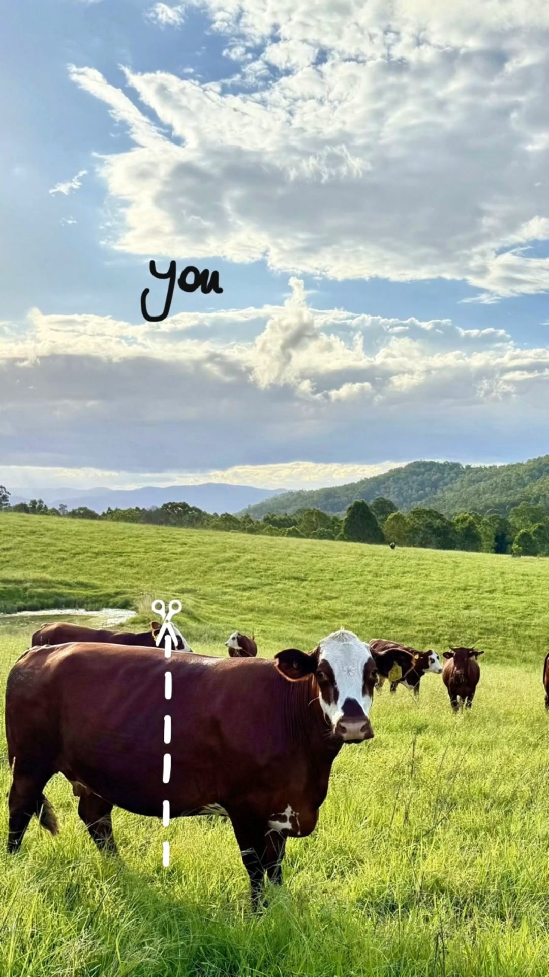 Dave and Bianca From Our Cow Facebook ad: Direct From The Farmer, No Chest Freezer Required