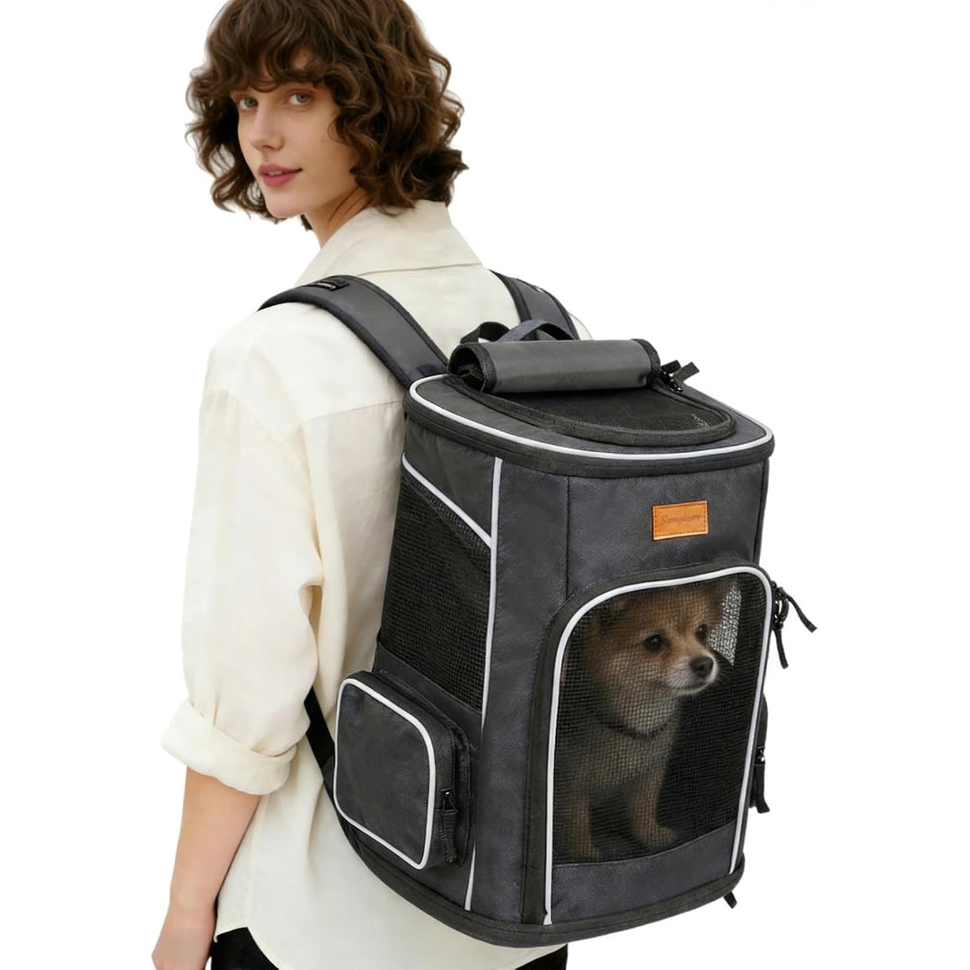 PetEssentials Hub Facebook ad from Aug 13, 2026