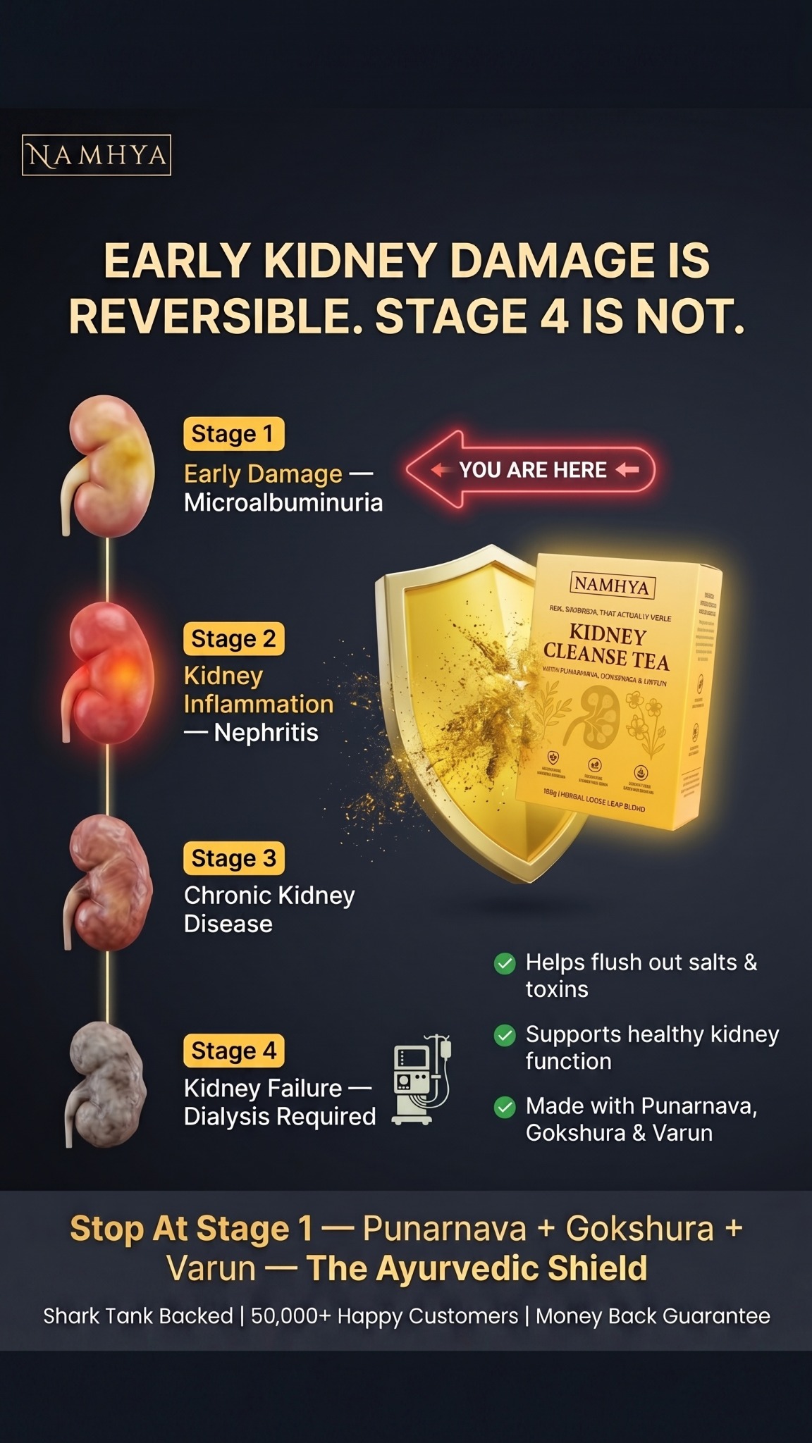 Namhya Ayurveda Facebook ad