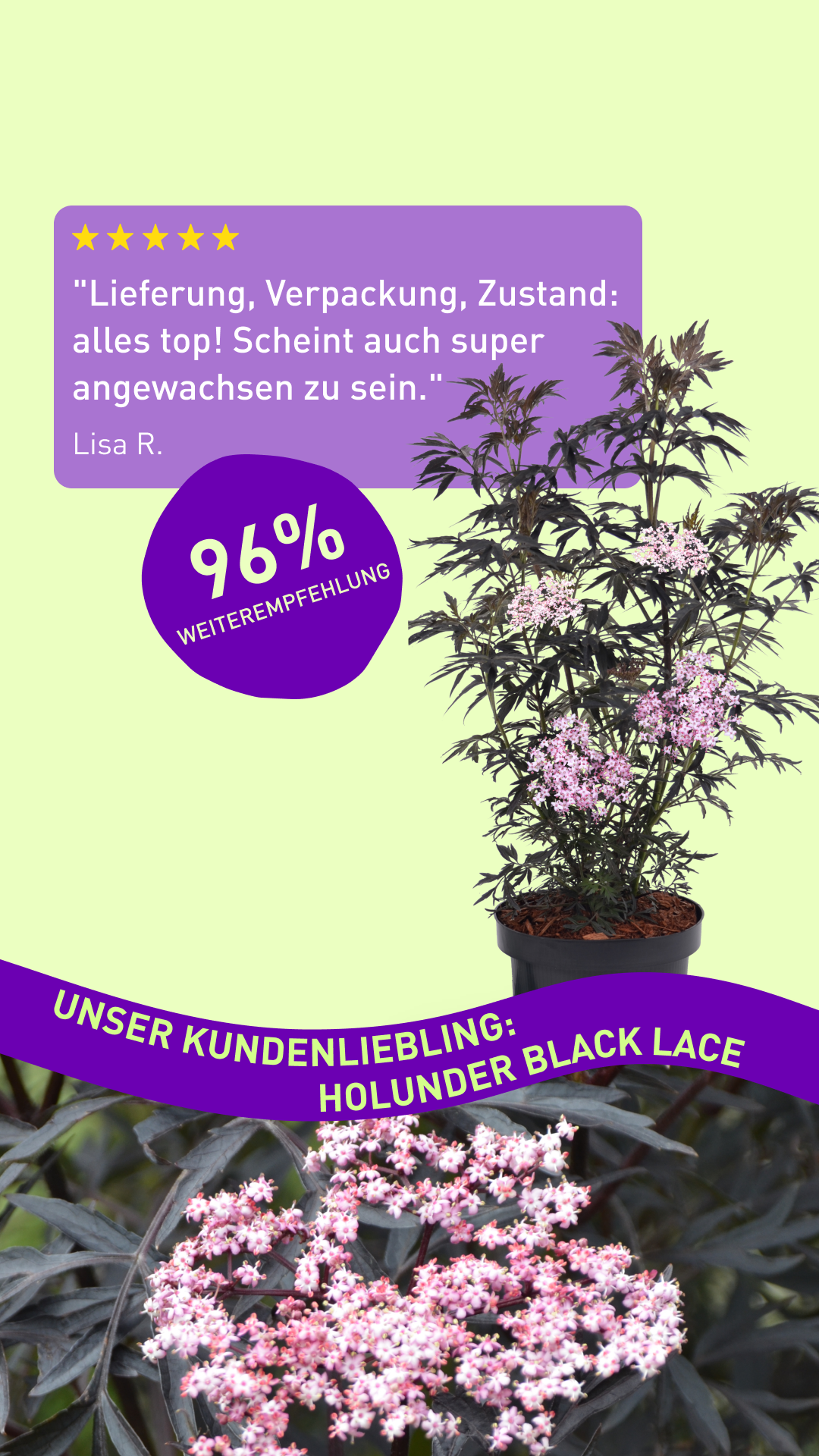 Plantura Facebook ad