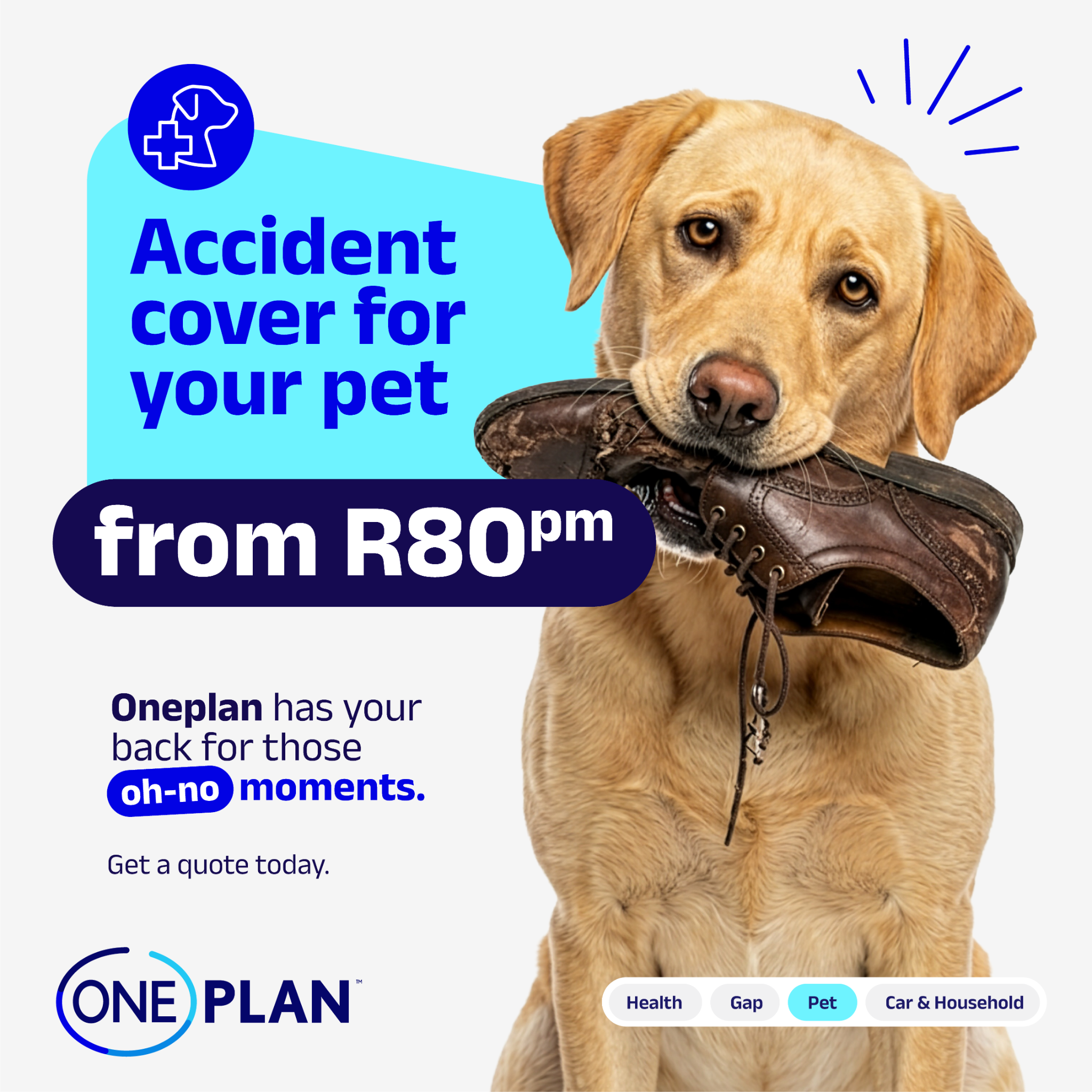 Oneplan Pet Insurance Facebook ad