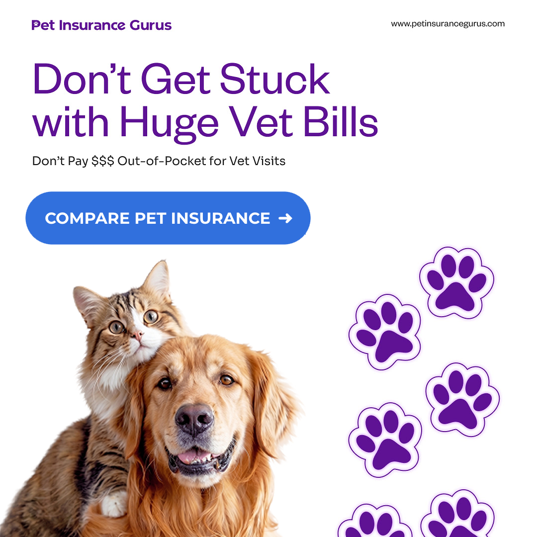 Pet Insurance Gurus Facebook ad from Jun 12, 2026