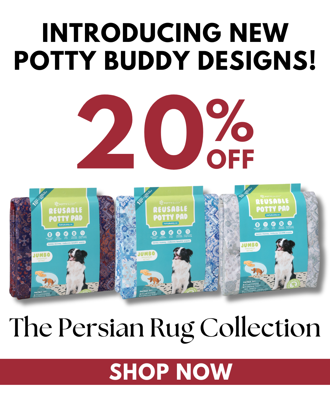 Potty Buddy Facebook ad