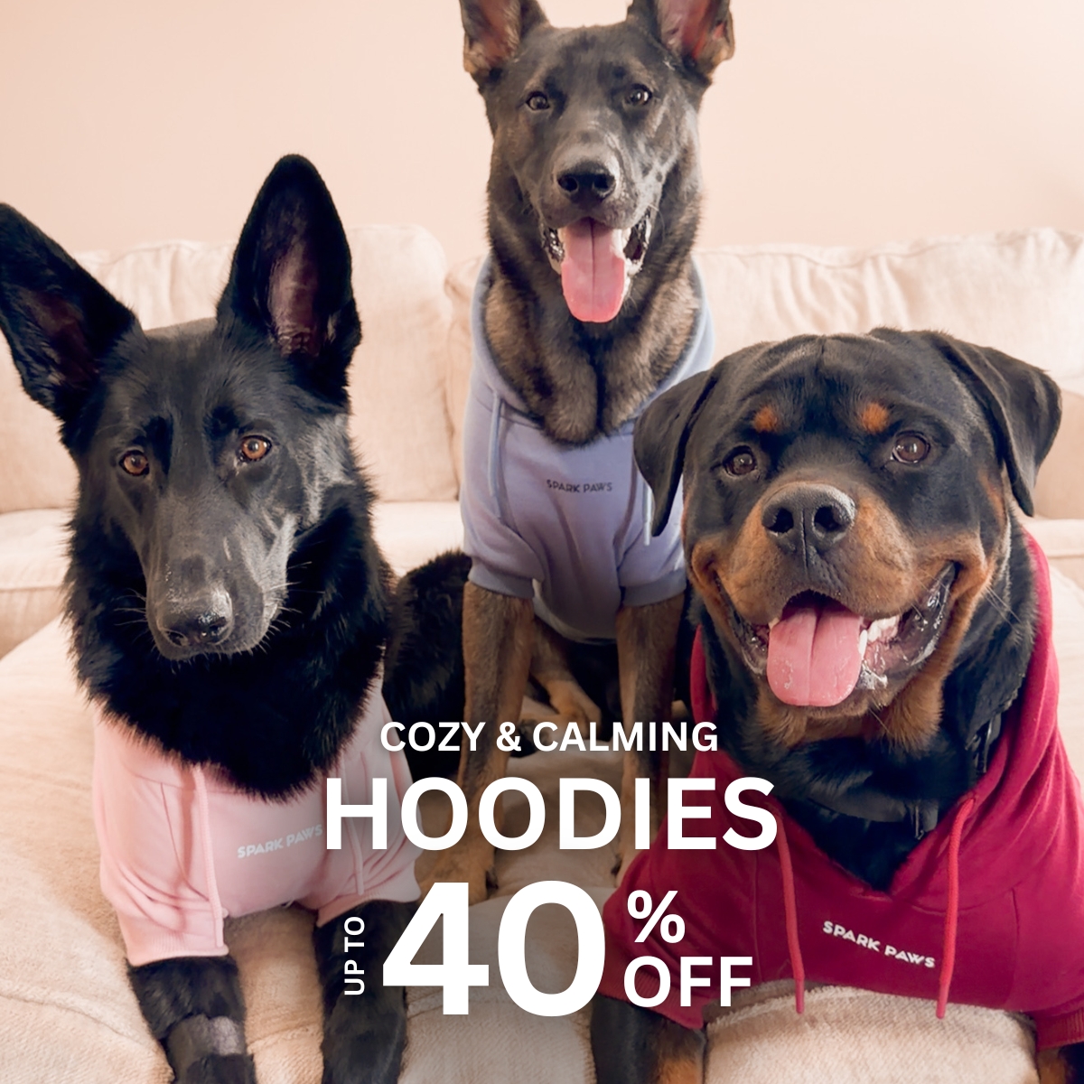 Spark Paws Facebook ad