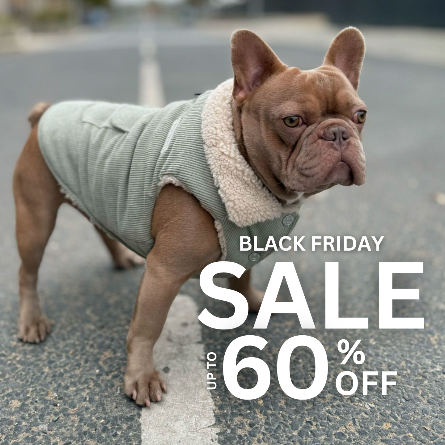 Spark Paws Facebook ad