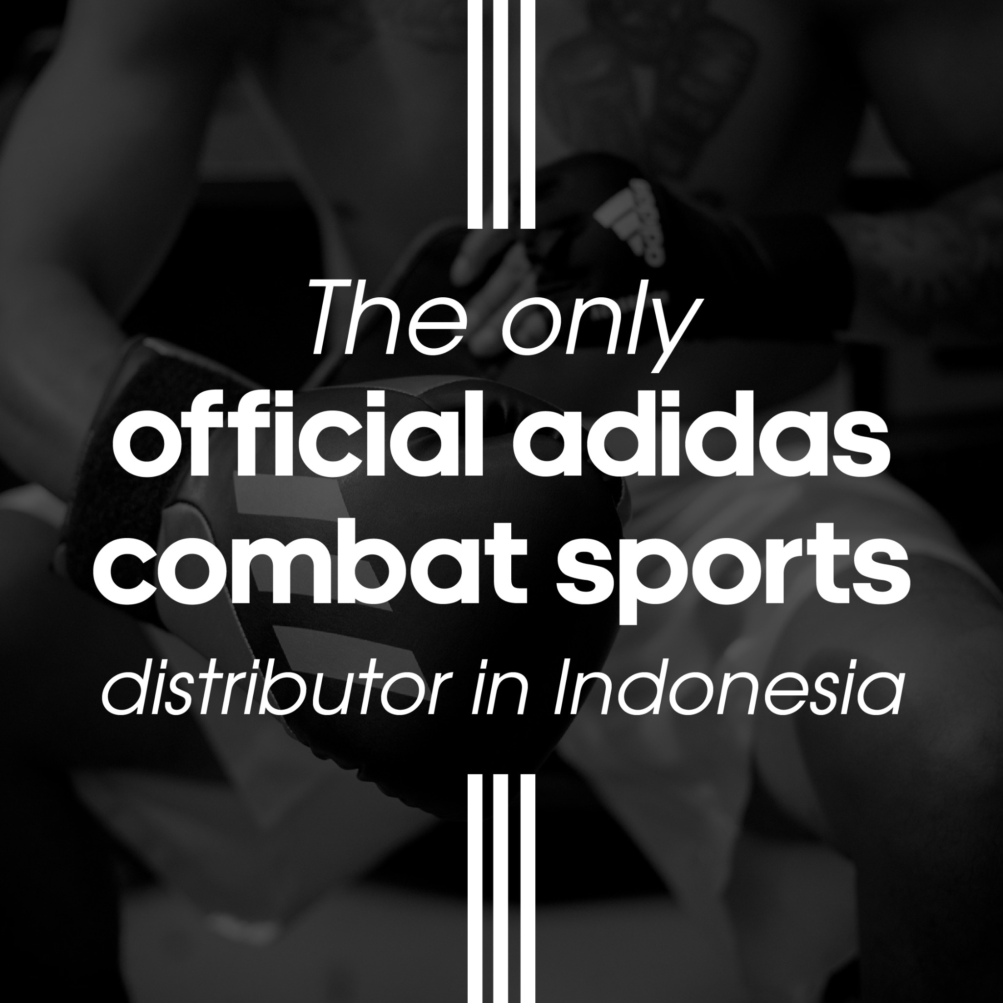 combatsports.ina Facebook ad: When it comes to equipment or apparel for…