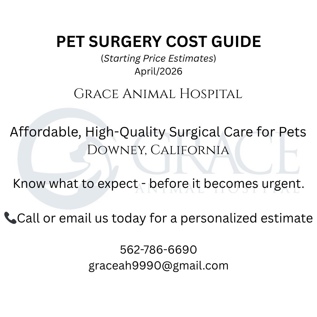 Grace Animal Hospital Facebook ad: Unexpected pet surgery can cost thousands.