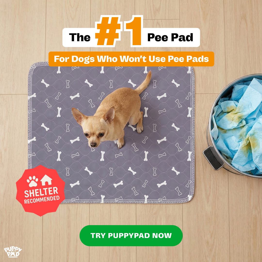 PuppyPad Facebook ad