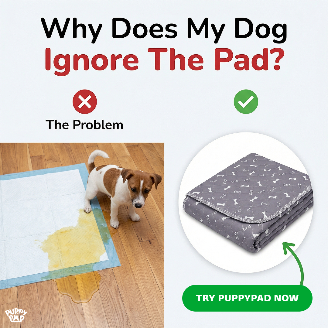 PuppyPad Facebook ad