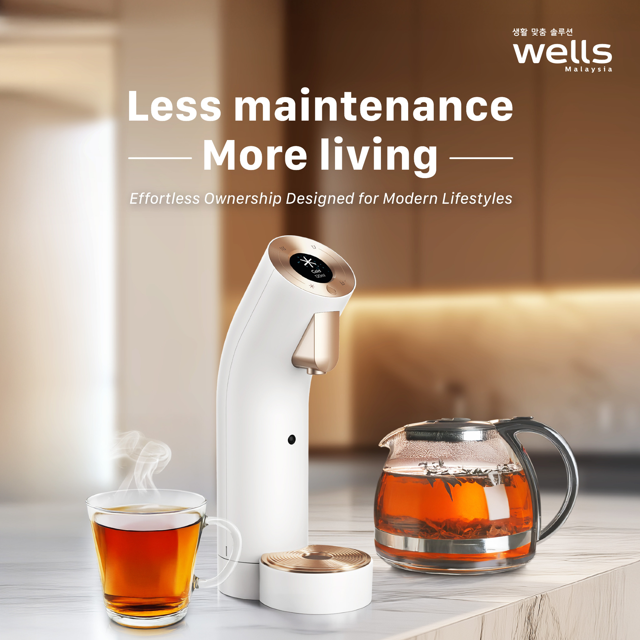 Wells Malaysia Facebook ad: Minimal Upkeep. Maximum Comfort.