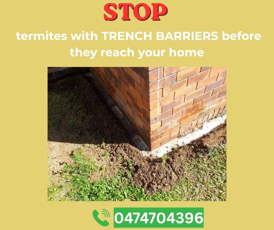 Quick pest & Termite control Facebook ad: Contact Us TODAY